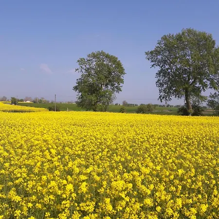 Appartement-am-meer-ostsee-insel-fehmarn-ferienwohnung-am-strand-meerblick-balkon-2-4-pers Appartamento Burgtiefe auf Fehmarn